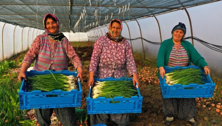 Kocaeli’de yüzde 50 hibeli modern sera desteği