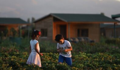 Büyükşehir’de 2 bin 543 adet “hobi bahçesi” başvuruları başladı