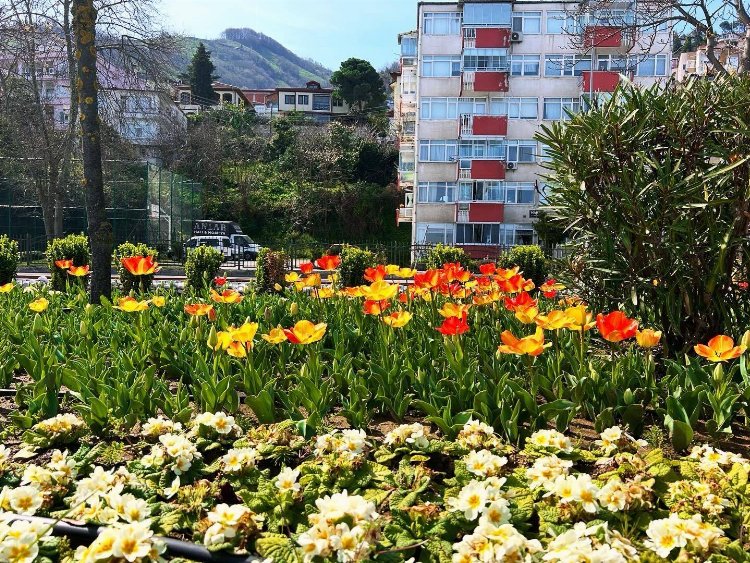 Ordu caddelerinde görsel şölen