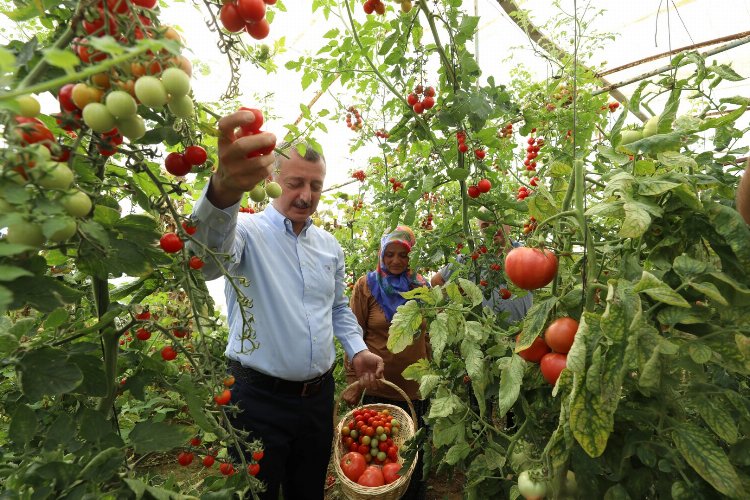 Başkan Büyükakın’dan kadın üreticiye destek