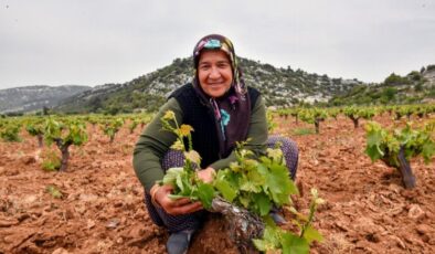 Çiftçinin yüzü organikle gülüyor