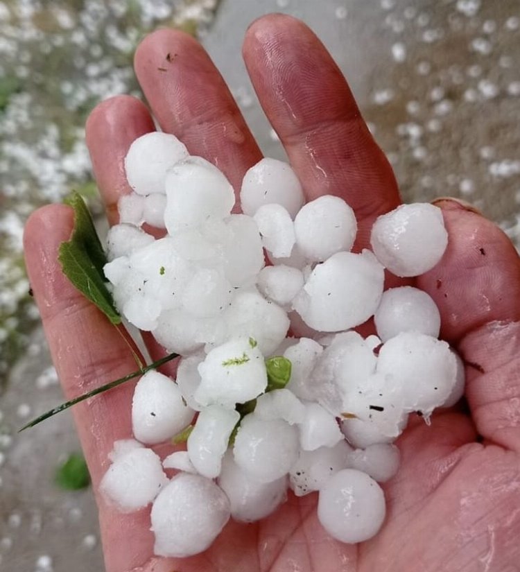 Düzce'de dolu yağışı hayatı olumsuz etkiledi