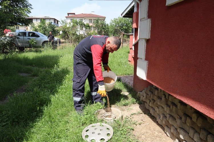 Düzce'de ilaçlama çalışmaları devam ediyor