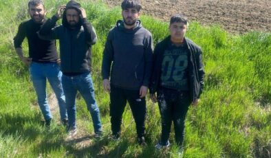 Edirne’de 4 göçmen yakalandı!