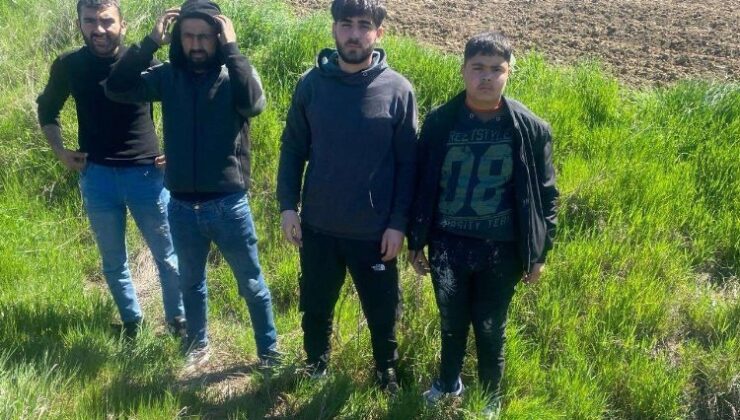 Edirne’de 4 göçmen yakalandı!