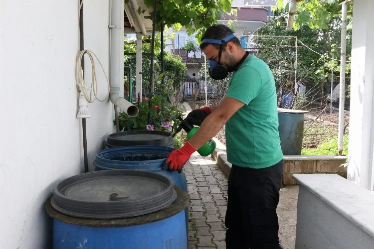 Kocaeli'de sivrisineklerle mücadele çalışmaları sürüyor