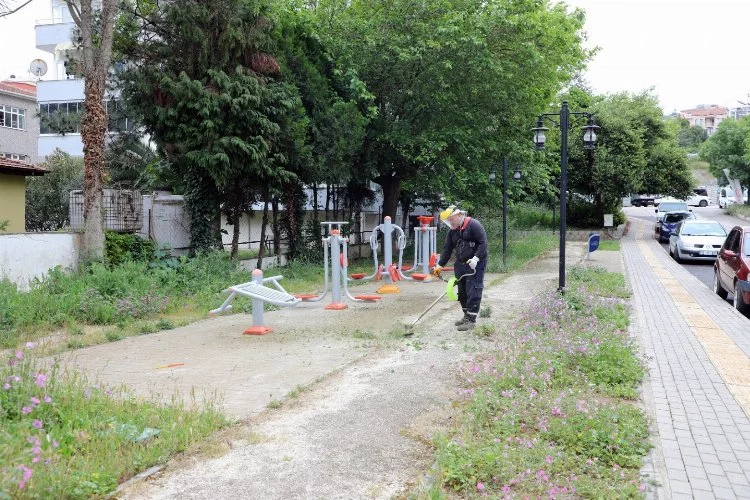 Mudanya'da park ve yeşil alanlara bakım