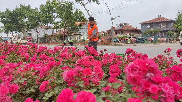 Yenişehir'in vitrini çiçek açacak