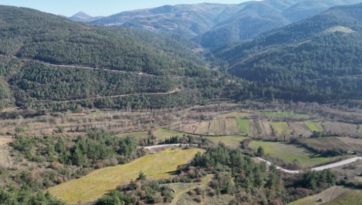 Arsalar yükselen değer olmayı sürdürüyor