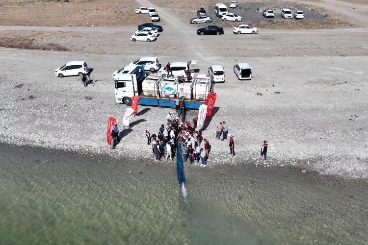 Başkan Çolakbayraktar: ‘İç denizimiz Yamula'ya 800 bin yavru sazan bıraktık’’