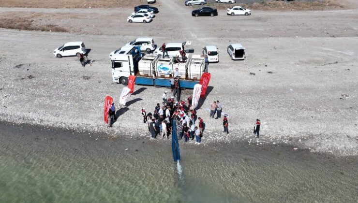 Başkan Çolakbayraktar: ‘İç denizimiz Yamula’ya 800 bin yavru sazan bıraktık’’