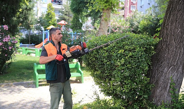 Başkan Mutlu tespit etti, ekipler sahaya indi