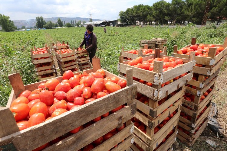 Bursa Yenişehir'e Tarım OSB için girişimler sürüyor