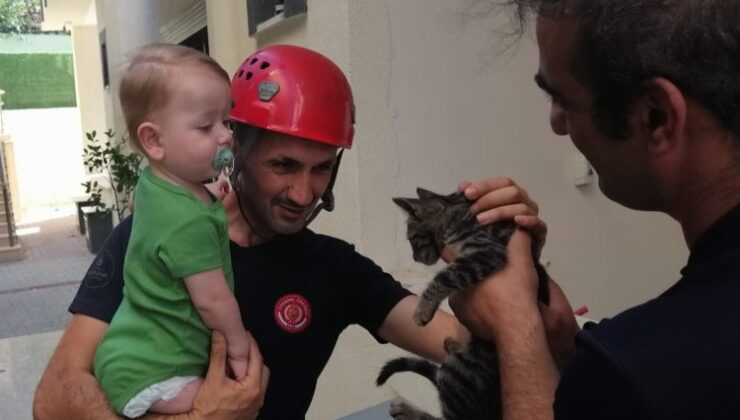 En çok kediler kurtarıldı… İstanbul’da 5 ayda 6 bin hayvan kurtarıldı