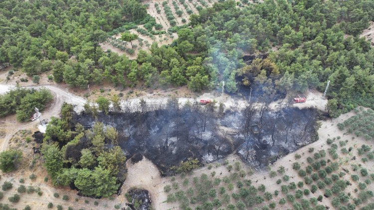 Manisa İtfaiyesi'nin yangın mücadelesi sürüyor