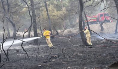 Manisa İtfaiyesi’nin yangın mücadelesi sürüyor