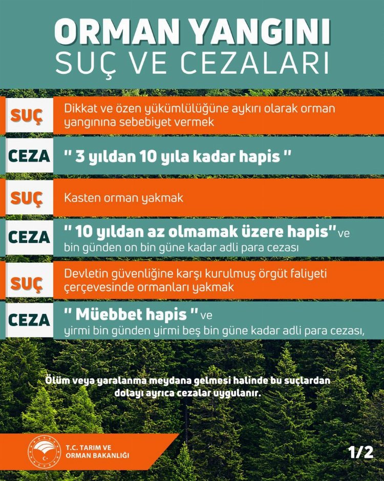 Orman yangınlarına karşı 'suç' ve 'ceza'lar...!