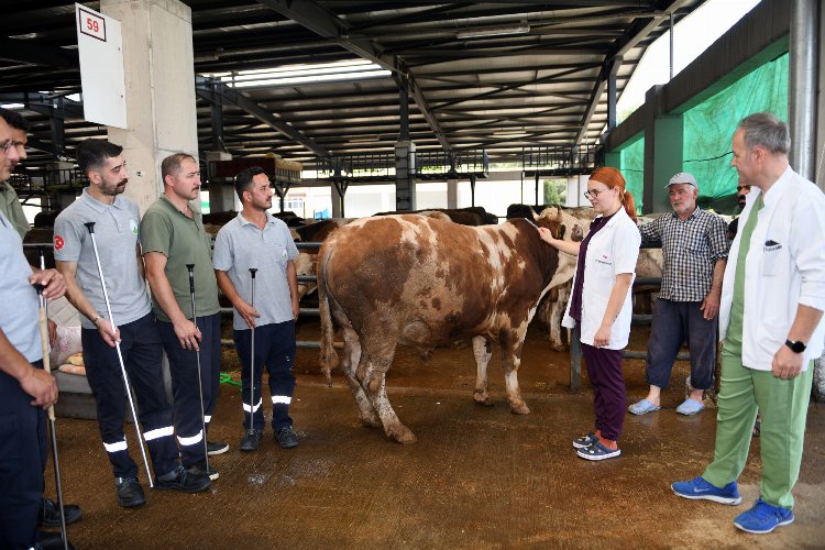 Osmangazi’de Kurban Yakalama Timi göreve hazır