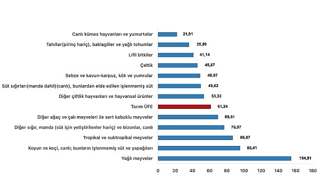 Tüik: Tarım ürünleri üretici fiyat endeksi (Tarım-ÜFE) yıllık %61,24 arttı, aylık %0,91 azaldı