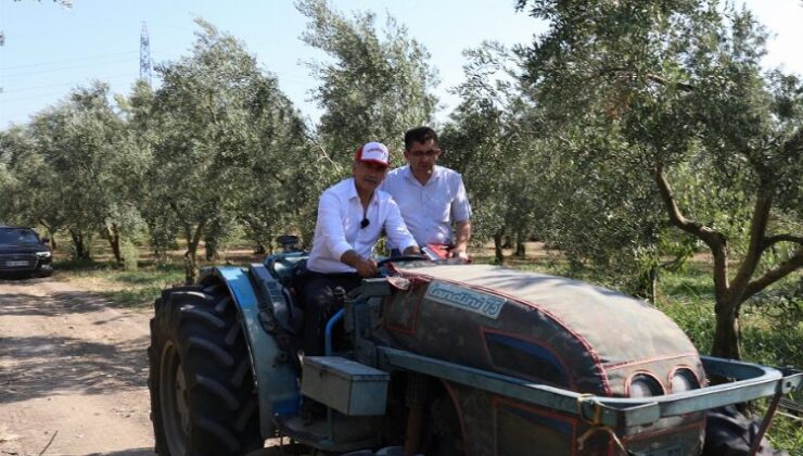 Bursa Gemlik’te zeytin ağaçları suya kavuştu