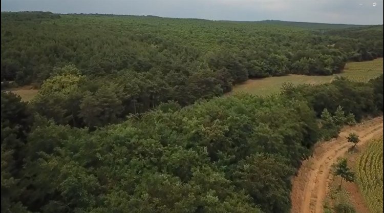 Edirne Keşan'da ormanlara drone ile denetim