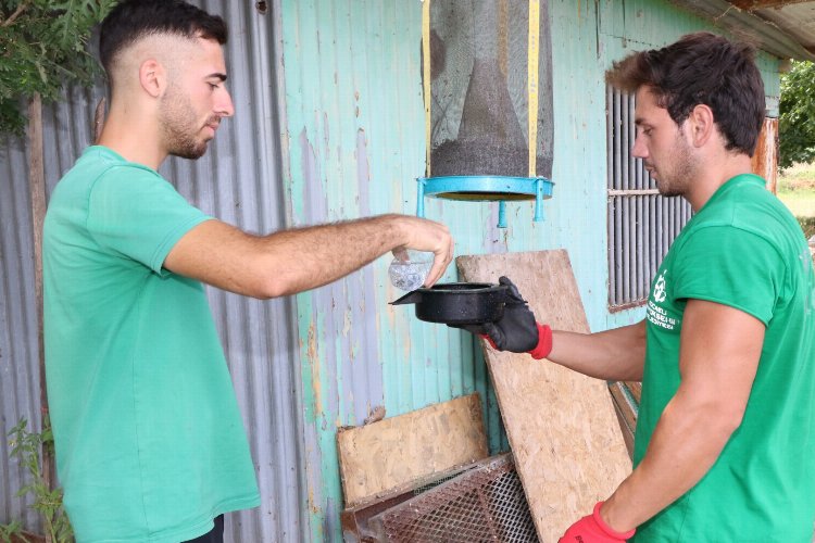 Kocaeli'de karasinek kapanları yaygınlaşıyor