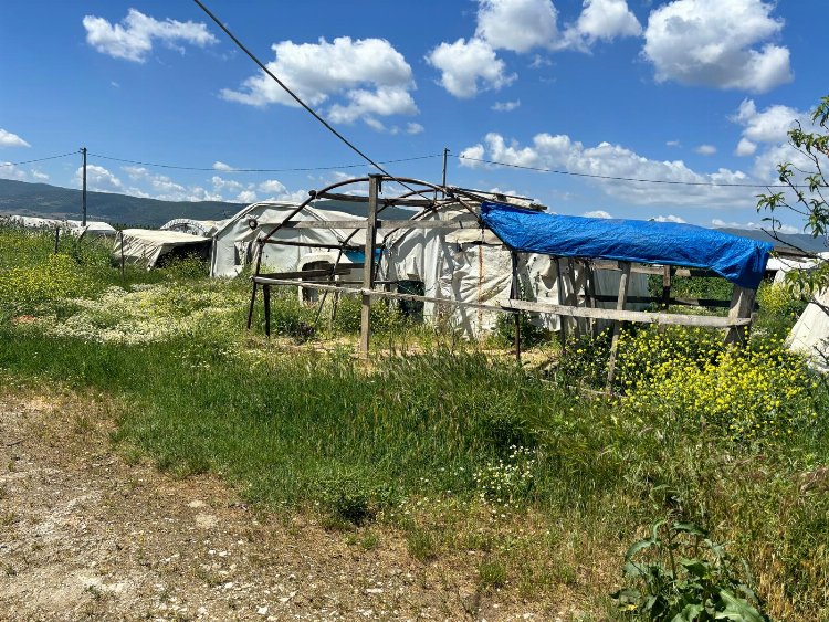 Mevsimlik tarım işçileri sosyal güvence yoksunu