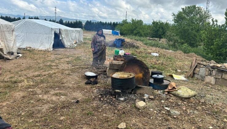 Mevsimlik tarım işçileri sosyal güvence yoksunu