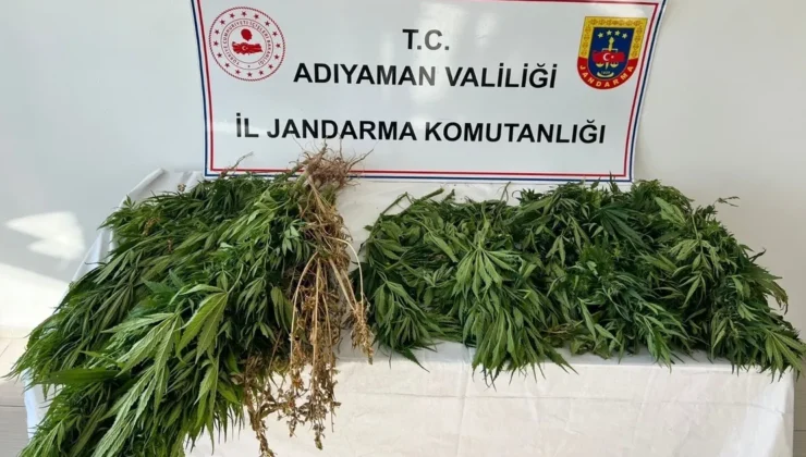 Adıyaman’da kenevire 3 gözaltı