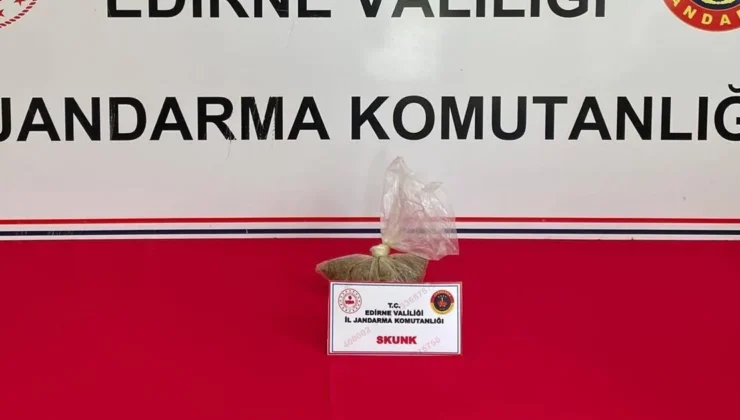 Edirne Keşan’da Skunk ele geçirildi