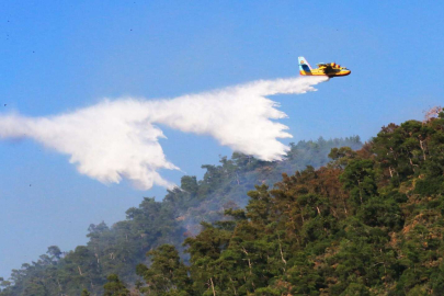 Ekinözü'nde orman yangını