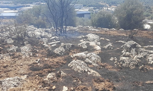 İzmir’de yangın fabrikalara ulaşmadan kontrol altına alındı