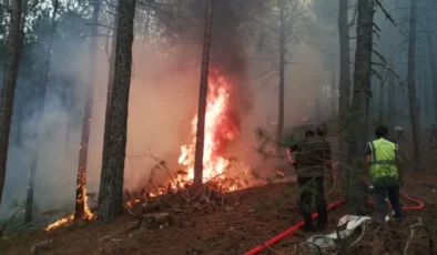 Muğla Büyükşehir orman yangınlarında tüm gücüyle sahada