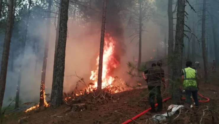 Muğla Büyükşehir orman yangınlarında tüm gücüyle sahada