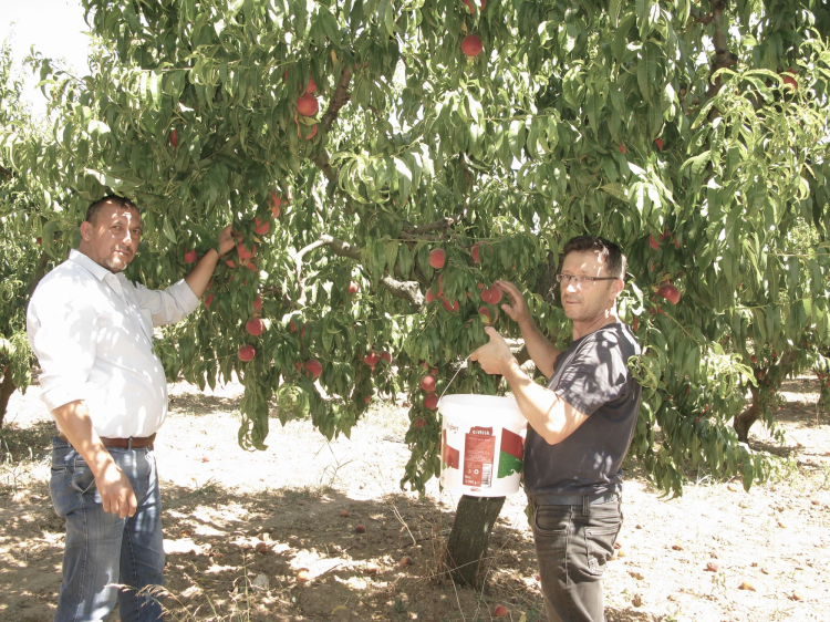 Yenişehirli çiftçiler umduğunu bulamadı