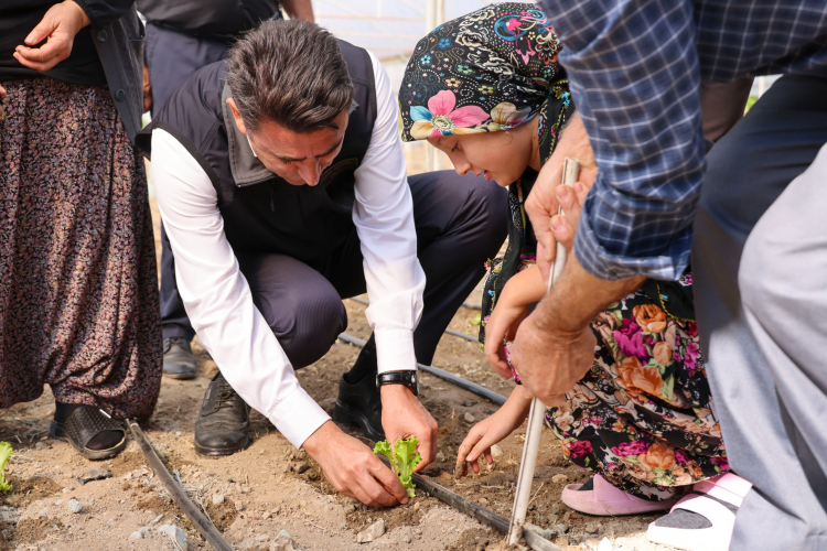 Bilecik’te çiftçiye marul fidesi dağıtıldı