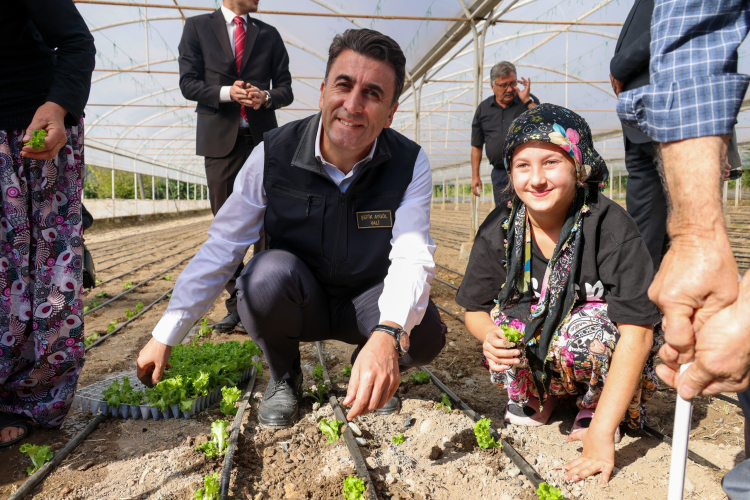 Bilecik’te çiftçiye marul fidesi dağıtıldı