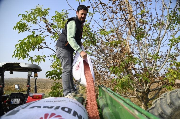 Manisa'nın tohumları toprakla buluştu