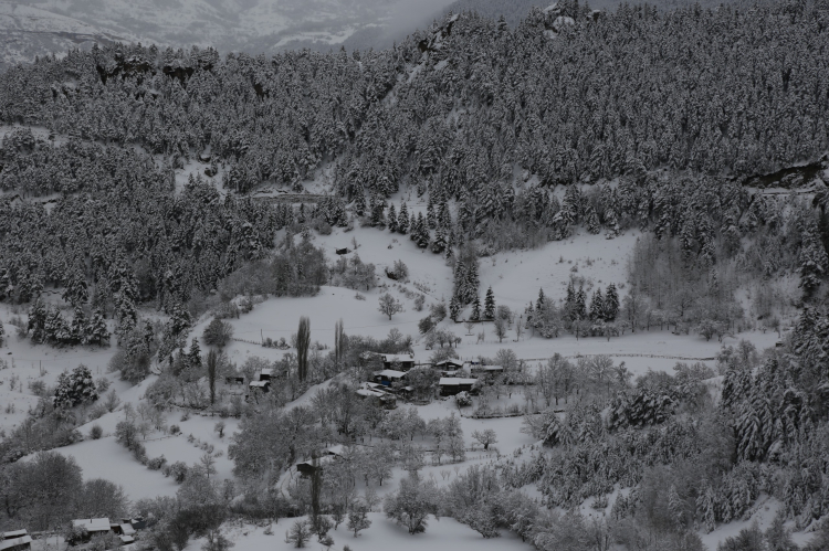 Artvin'de kar 125 köye ulaşımı kesti!