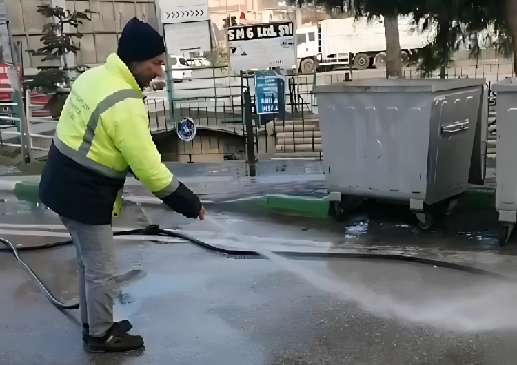 Bursa Gemlik'te şehir barbarı bozuk balıkları yola döktü