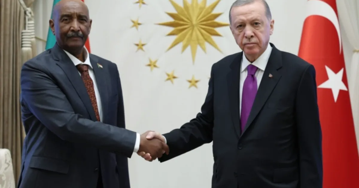 cumhurbaskani-erdogan-sudan-ile-bae-anlasmazliklari-icin-de-devreye-girebiliriz-FENdjwLS.webp