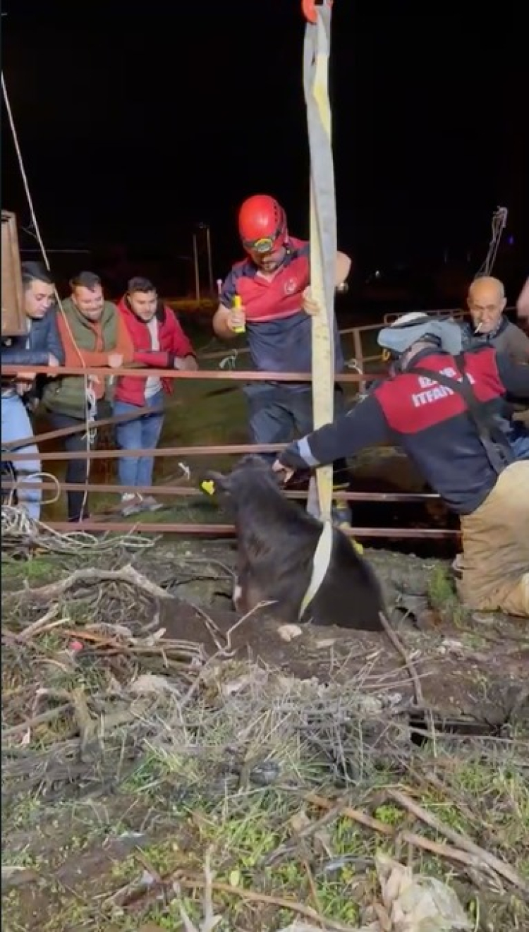 İzmir İtfaiyesi'nden 'buzağı' operasyonu!