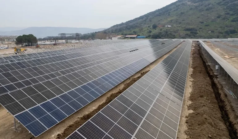 İzmir’in doğal yaşamı güvenceye alınıyor