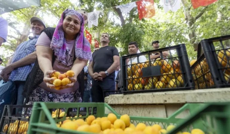 Kayısı Festivali’nde büyük coşku