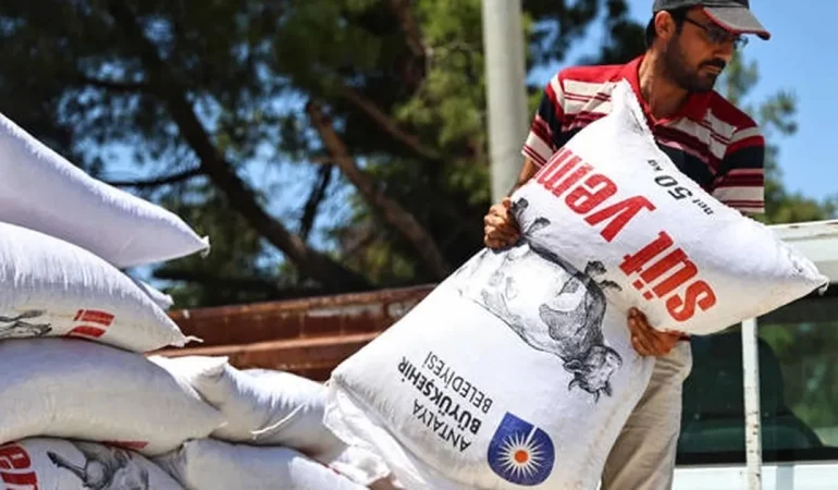 Antalya’da yem desteğiyle süt üretimine güçlü katkı