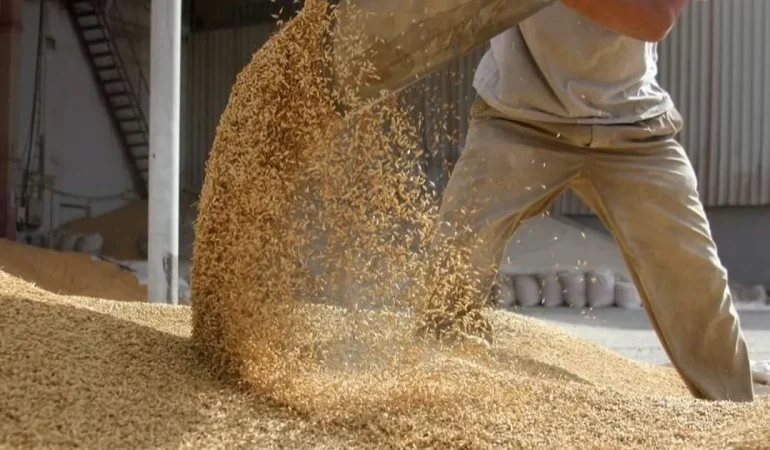 Bitkisel yağ ihracatı zirvede… Ege Bölgesi’nden 268 milyon dolarlık başarı