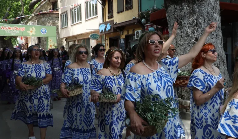 Bursa Mudanya’da zeytinin bereketi Tirilye sokaklarına taştı