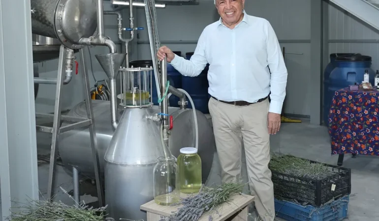 Bursa Nilüfer’de lavanta hasadı başladı