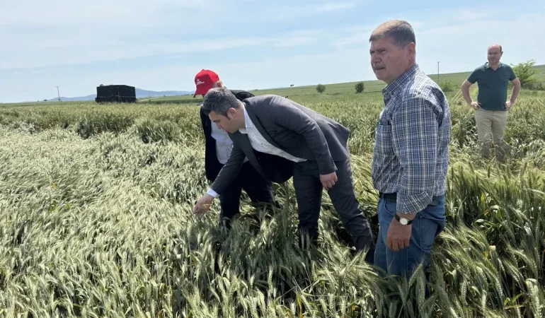 CHP Keşan AK Partilileri tarlaya davet etti!