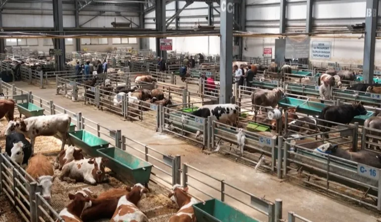 Erzurum’da Doğu Anadolu Canlı Hayvan Borsası’na büyük ilgi